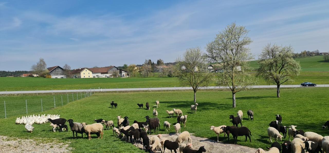 Landgasthof Entenwirt Gasthof Tarsdorf