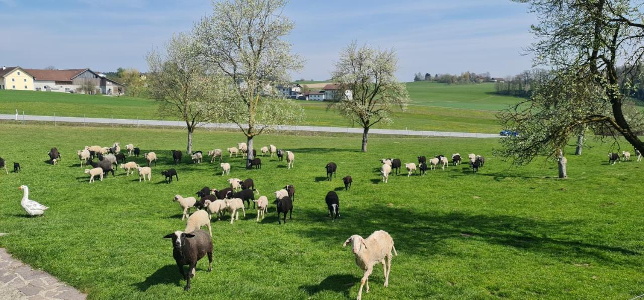 Gasthof Landgasthof Entenwirt